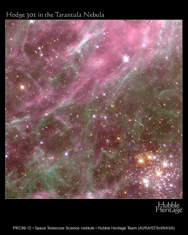 大マゼラン雲中のタランチュラ星雲の中にあるホッジ301（Hodge 301）